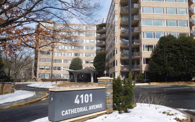 Cathedral Avenue Cooperative – Washington DC